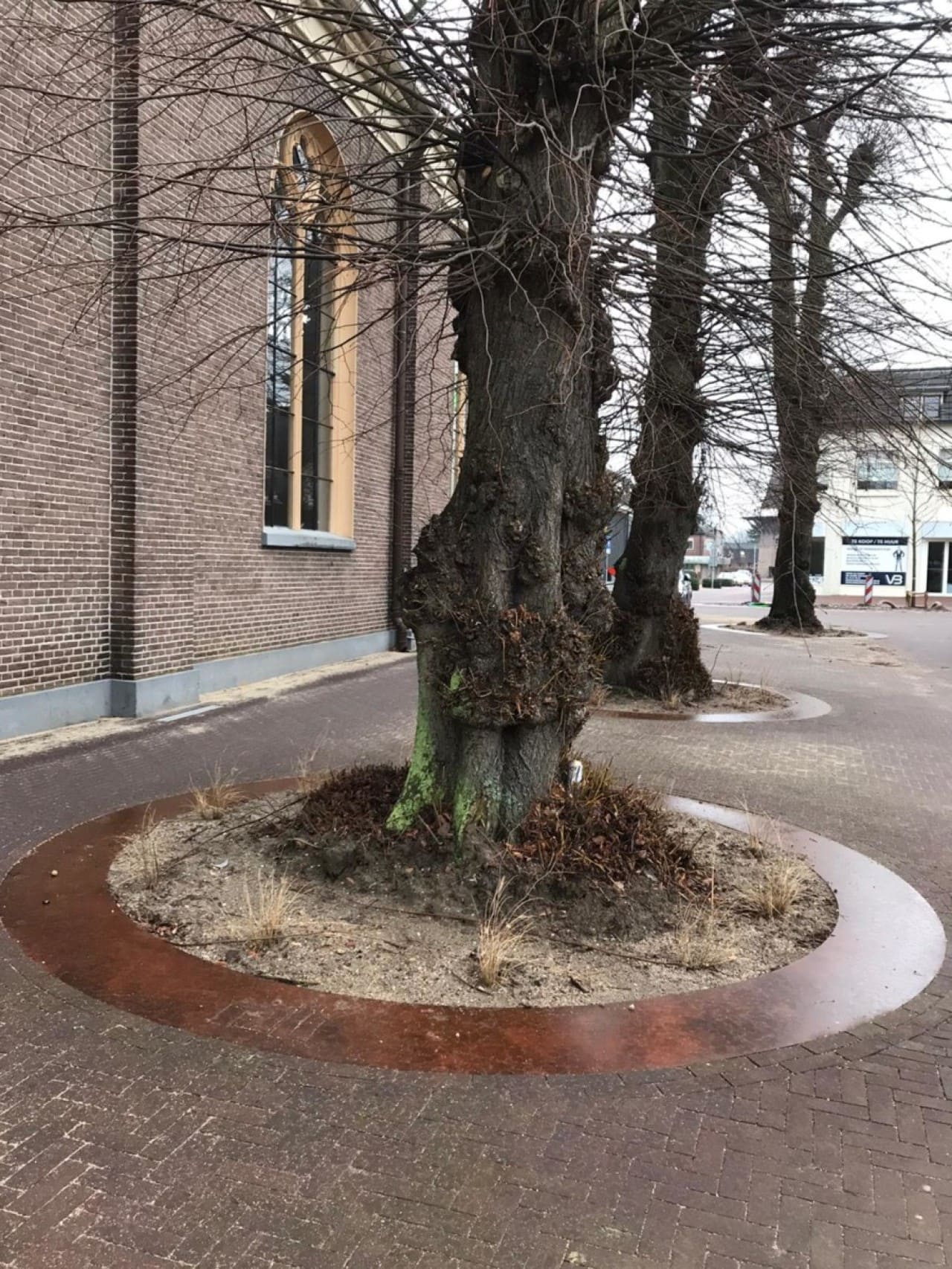 Boomroosters Boomroosters