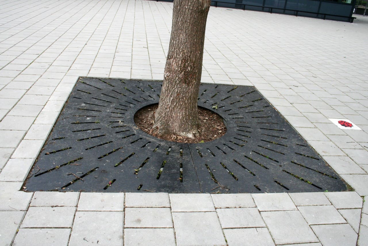 Boomroosters Boomroosters