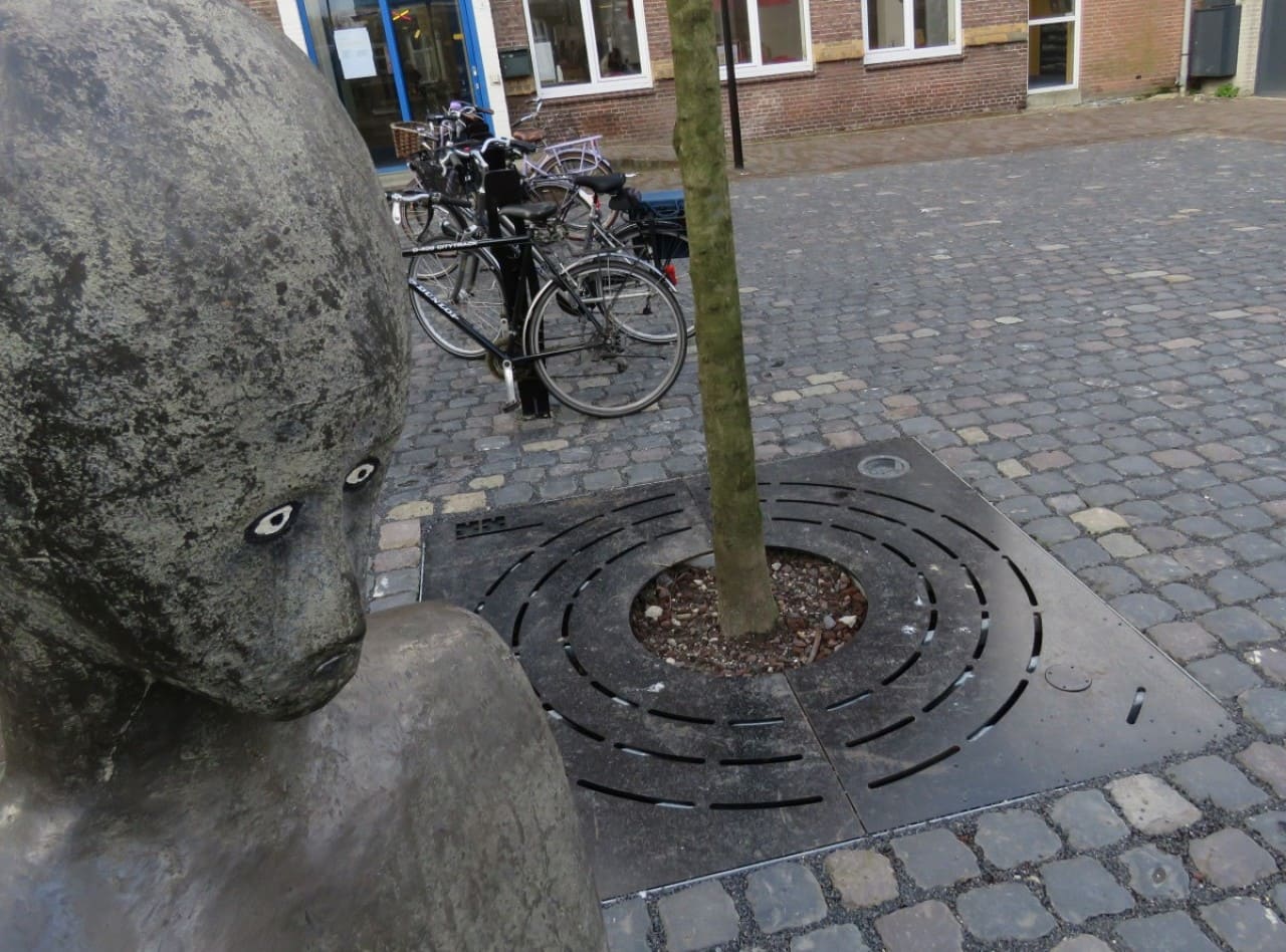 Boomroosters Boomroosters