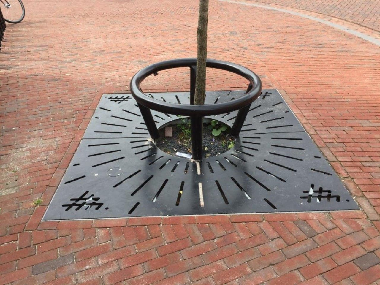 Boomroosters Boomroosters